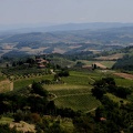 San Gimignano (SI)