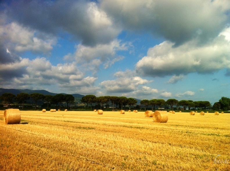 Cascine di Tavola (PO)